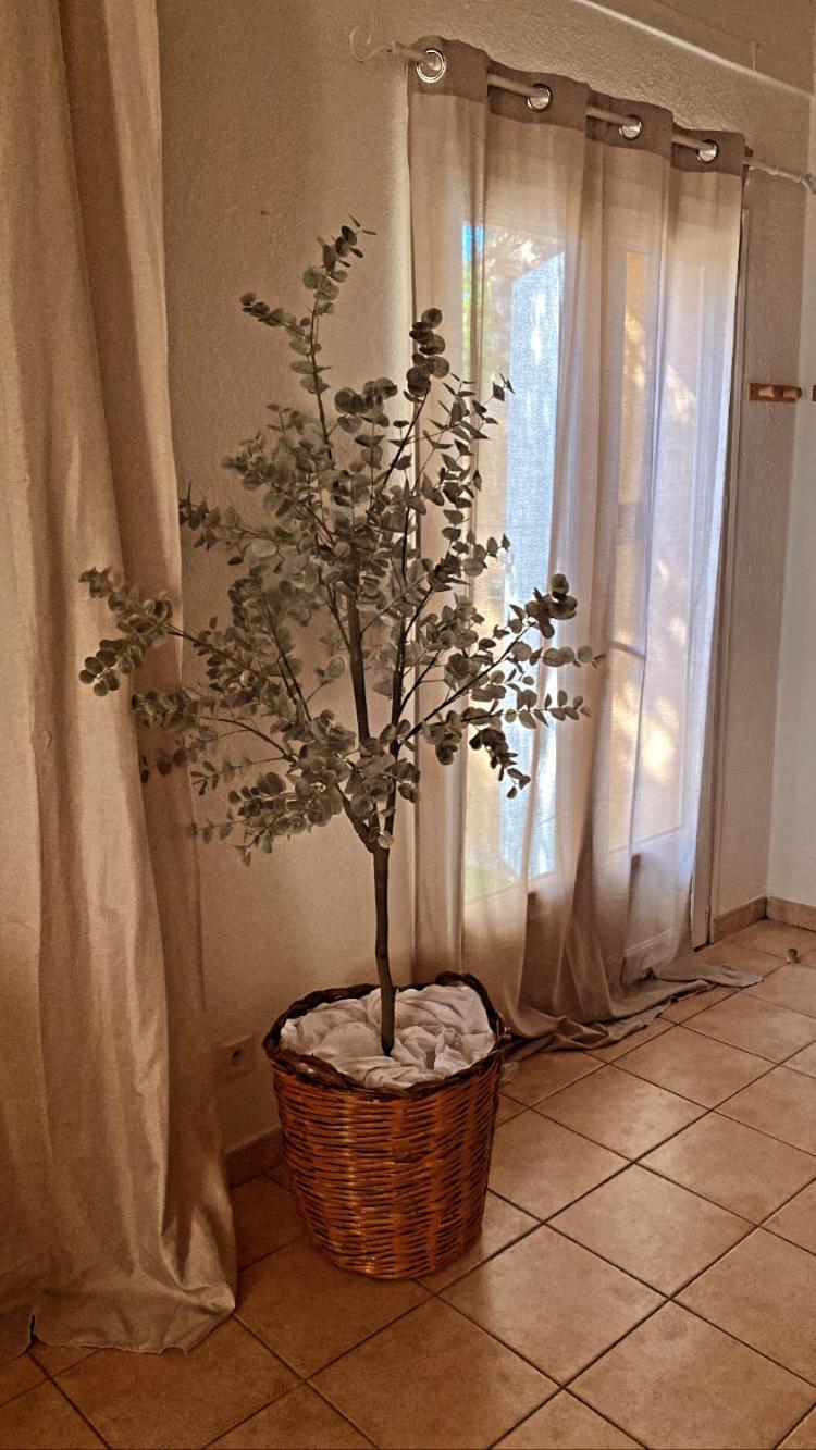 Le Mas Du Bosc Appartement Mauguio Buitenkant foto