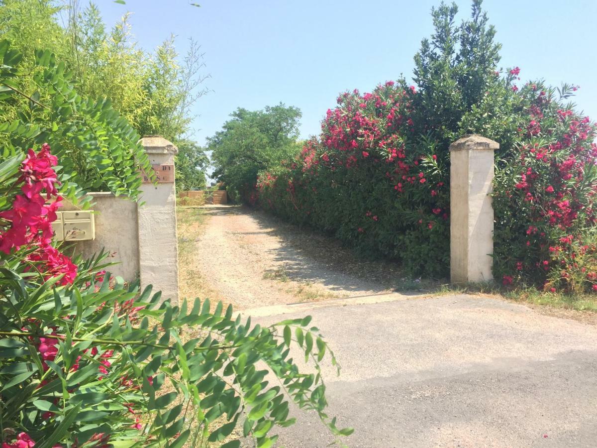 Le Mas Du Bosc Appartement Mauguio Buitenkant foto